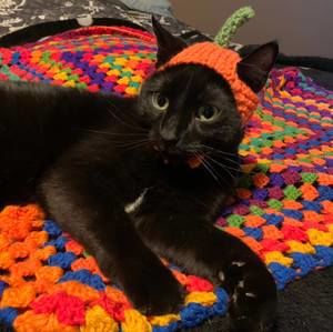 Meet your Posher, Kate